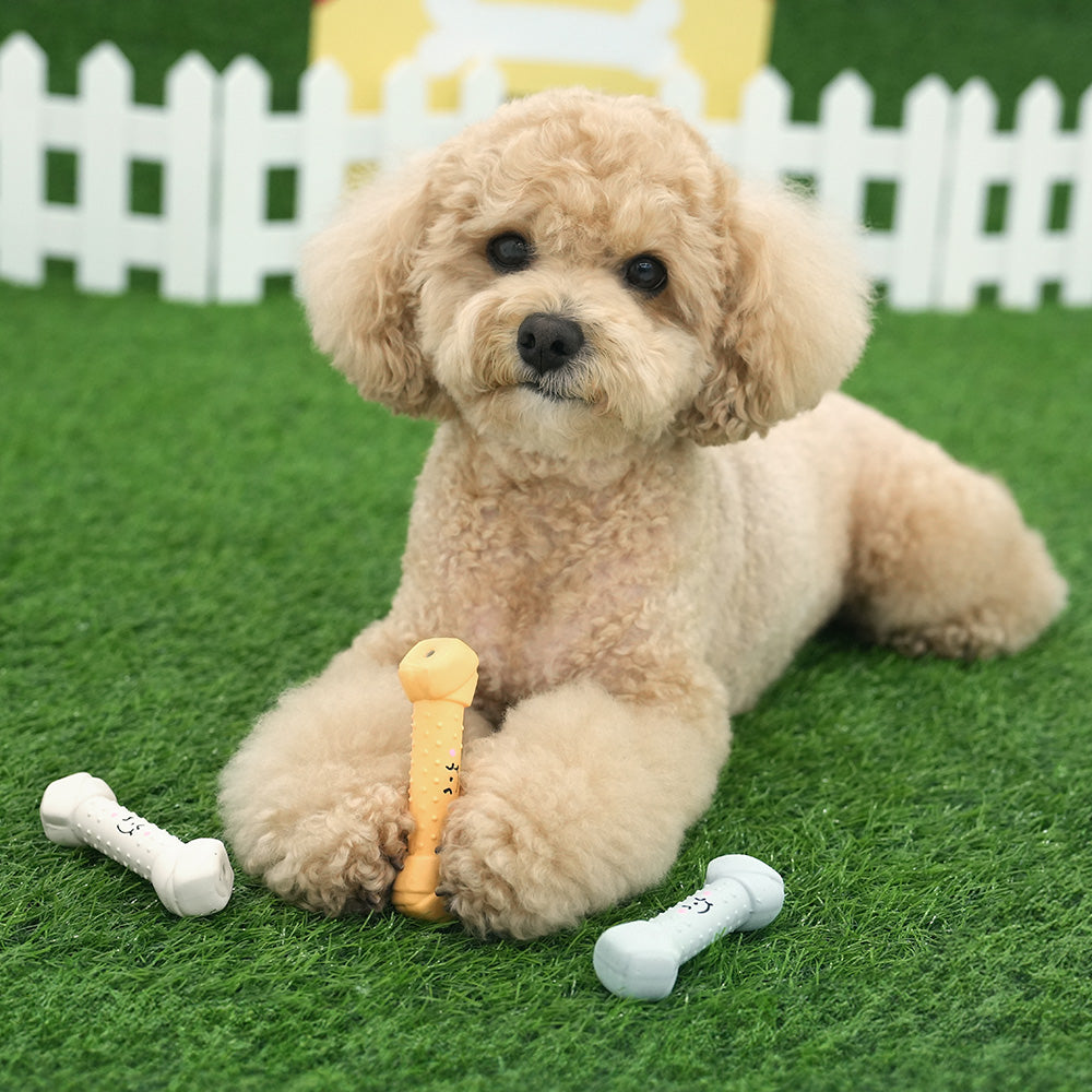 Dog Chewing Latex Toy