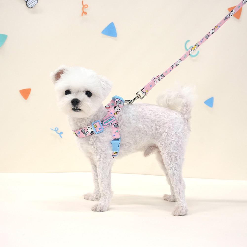 Peanuts Theme Harness
