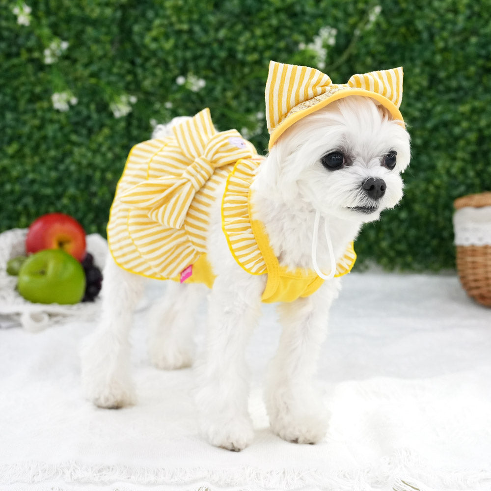 Butter Stripe Frill Dress Set