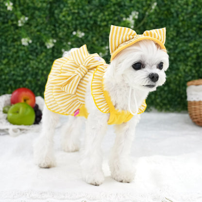 Butter Stripe Frill Dress Set