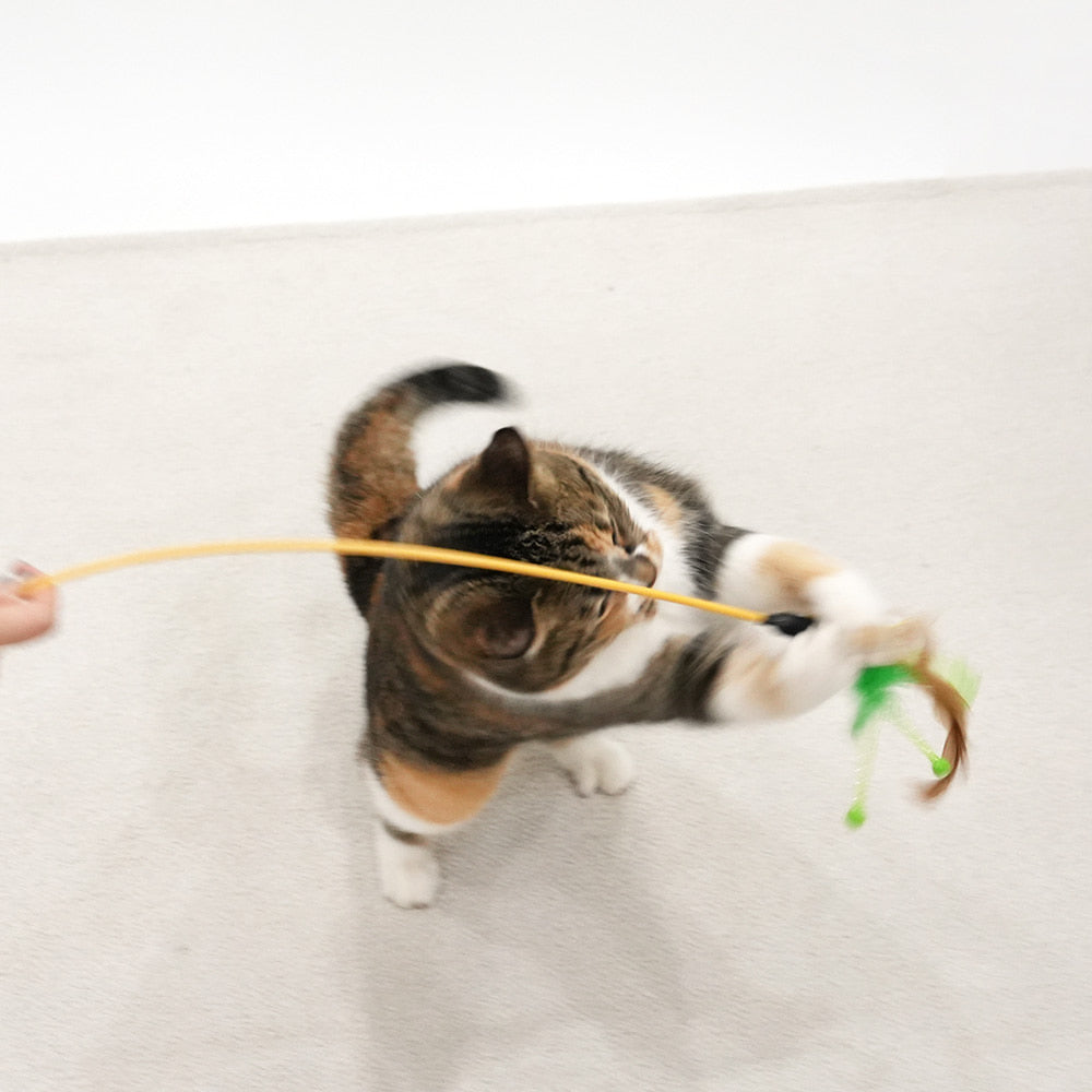 Moulin Rouge Cat Stick Toy