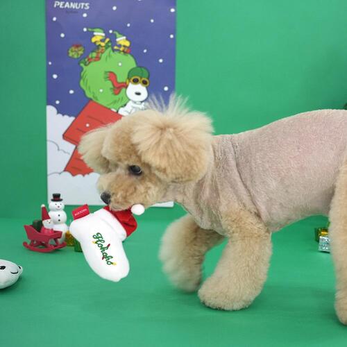 Peanuts Christmas Toy