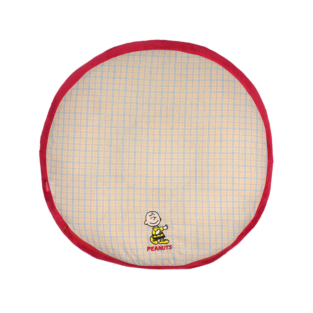 Peanuts Charlie Brown Bed