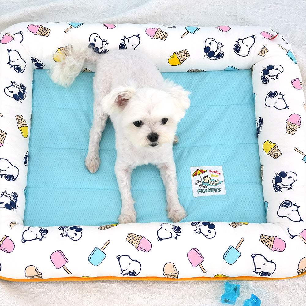 Peanuts Popsicle Cool Flat Bed