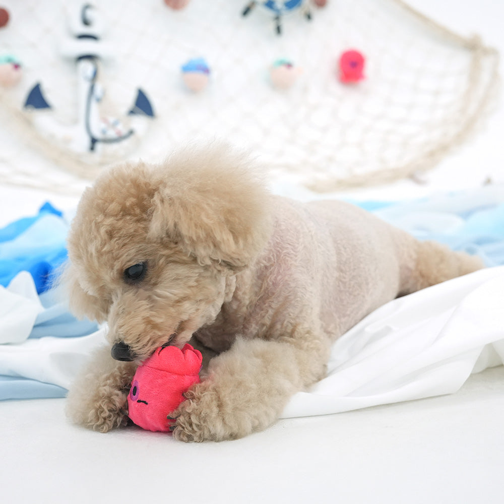 Peel-Off Ocean Ball Toy