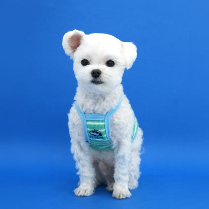 Peanuts Mini Doll Crop T-Shirt