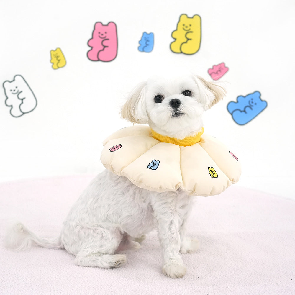 Jelly Bear Neck Collar