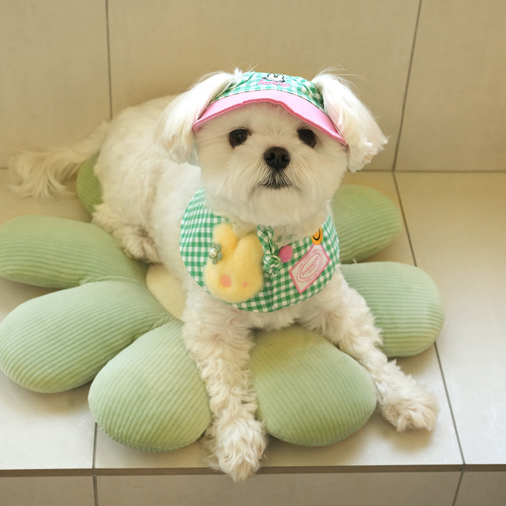 Buddy Cape & Cap Set