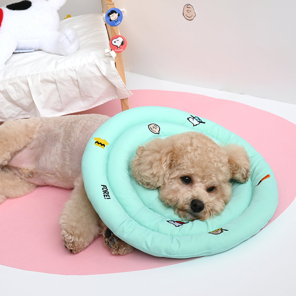 Peanuts Icon Neck Collar