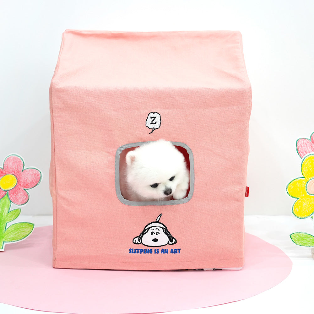 Peanuts Placid Frame House