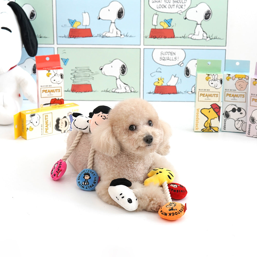 Peanuts Rope Toy