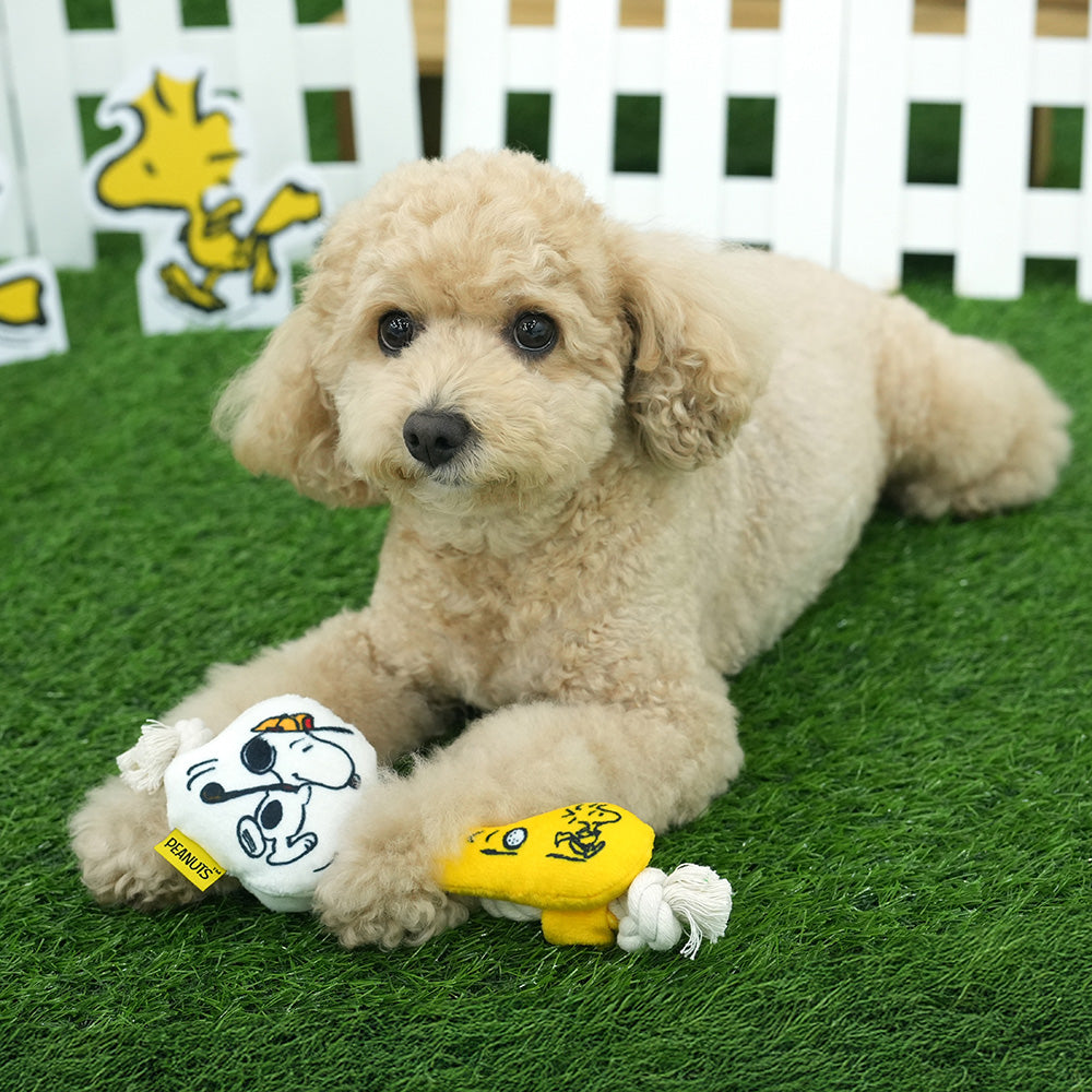 Peanuts Golf & Tennis Rope Toy
