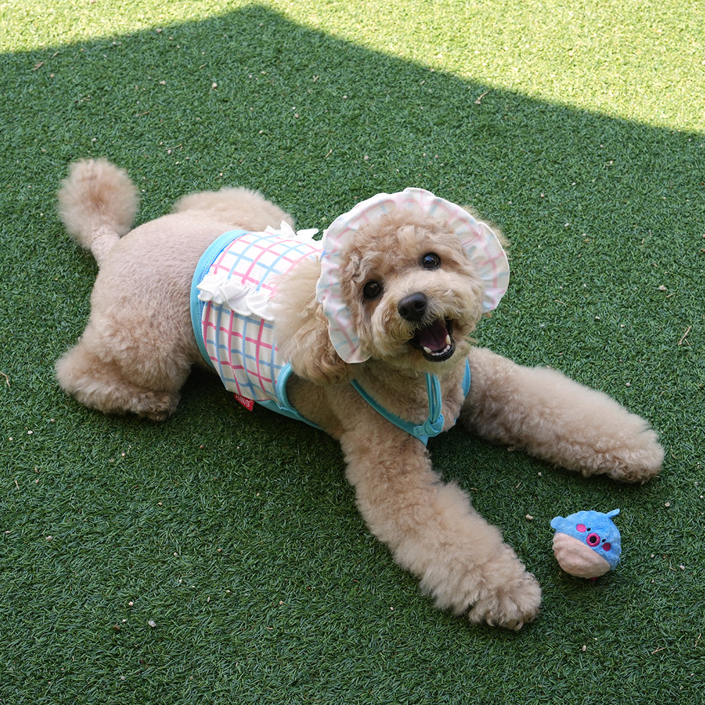 Peanuts Cool Check Rashguard Set