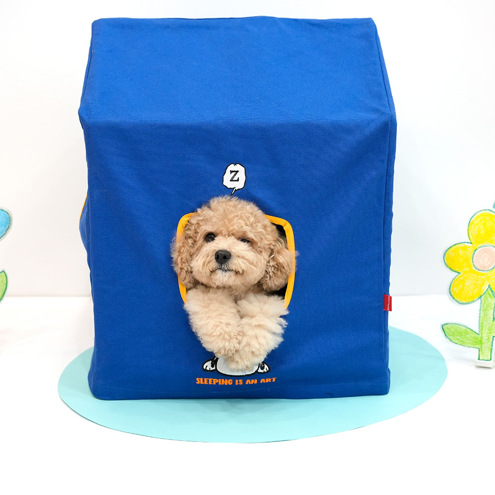 Peanuts Placid Frame House