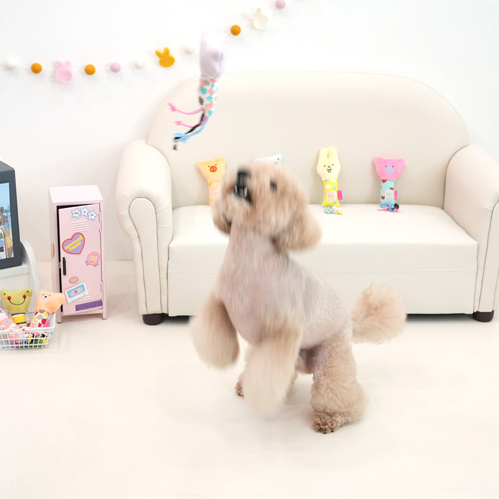 Interest Awaken Toy 1