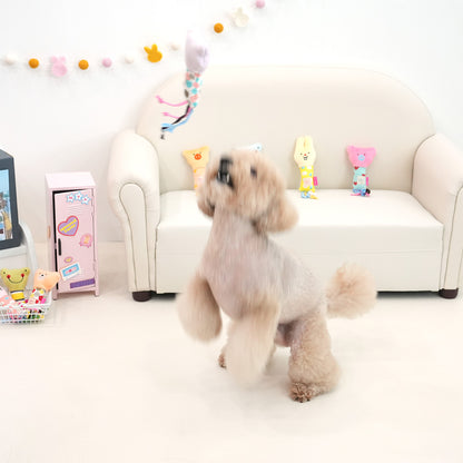 Interest Awaken Toy 1