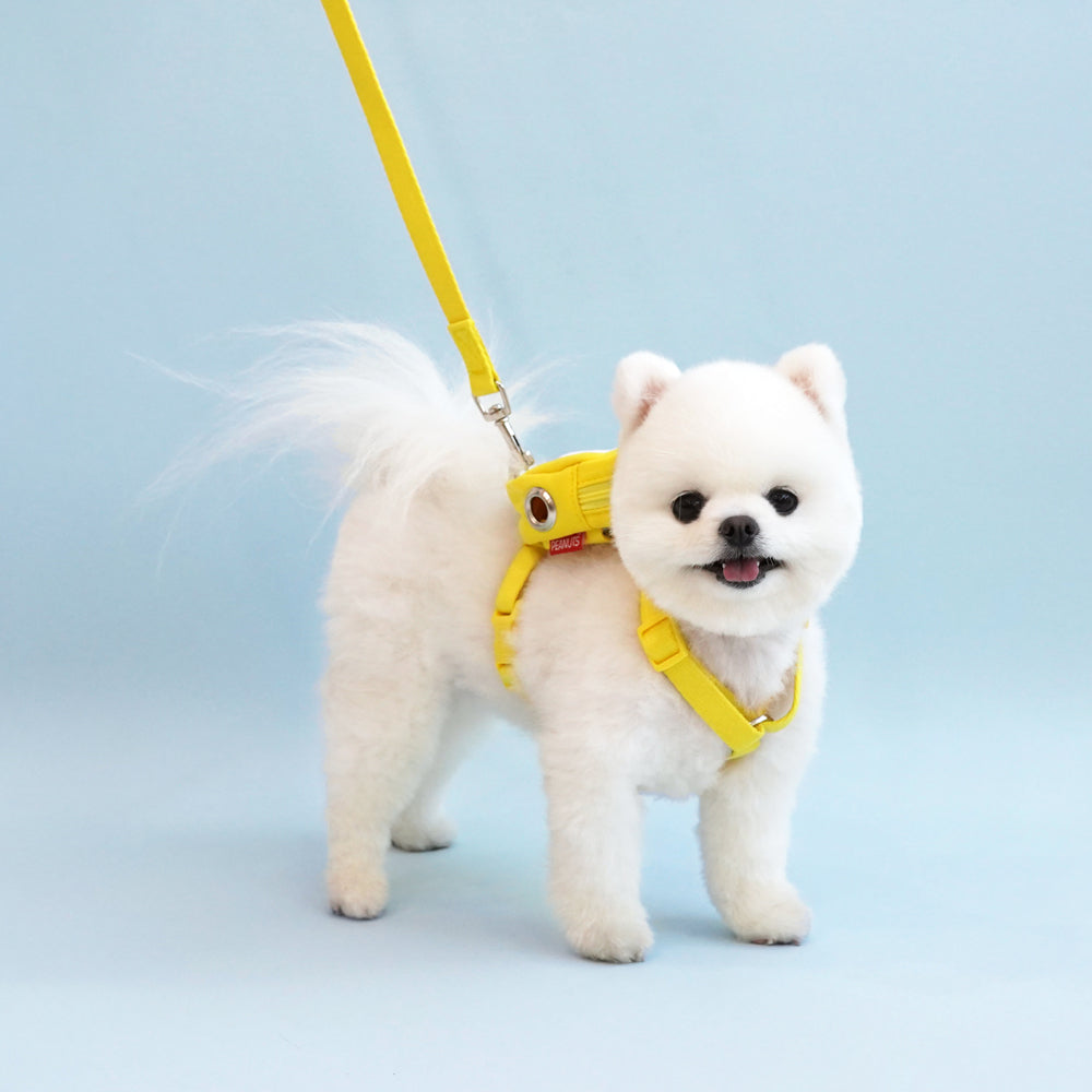 Snoopy 2Way Backpack Harness