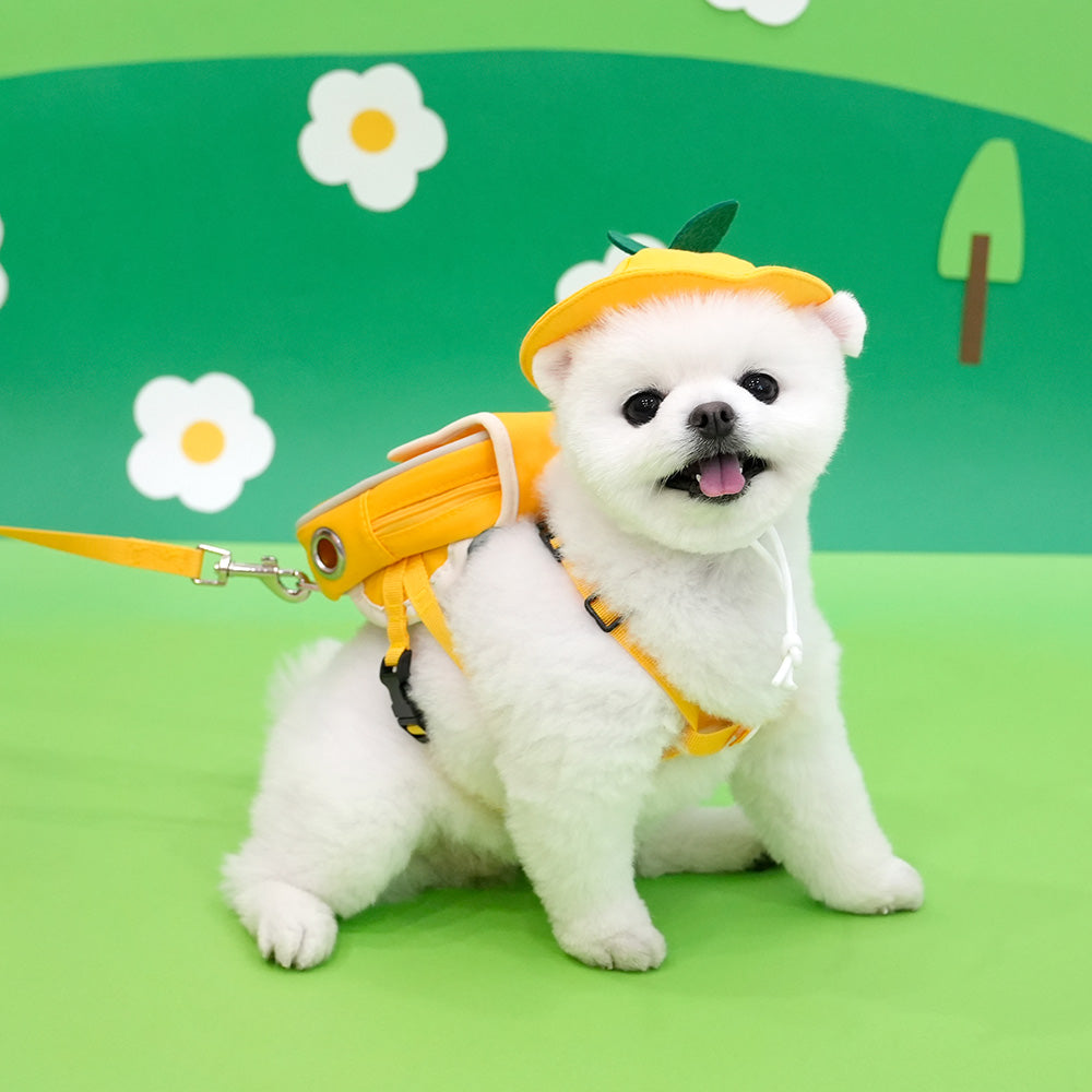 Kindergarten Backpack Harness Set