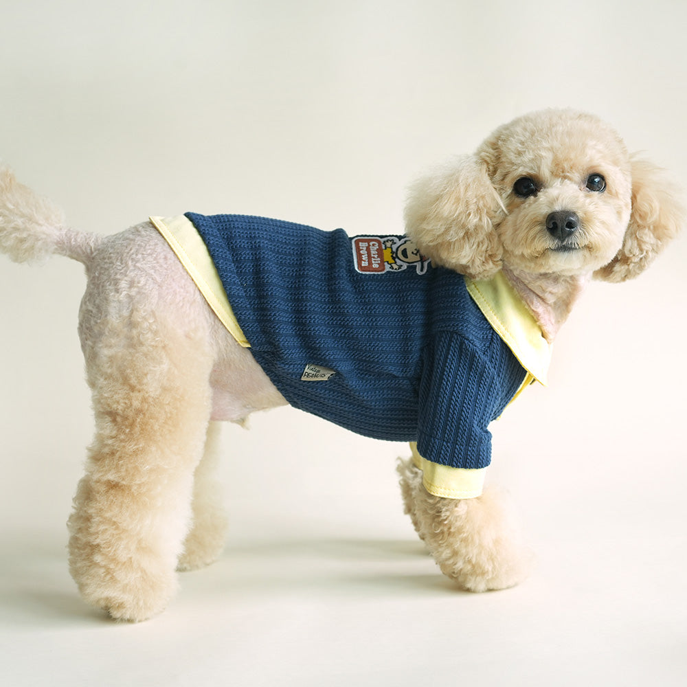 Peanuts Vintage Shirt Knit