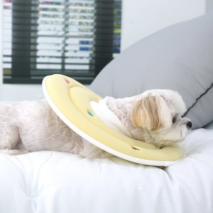 Espoir Sponge Neck Collar