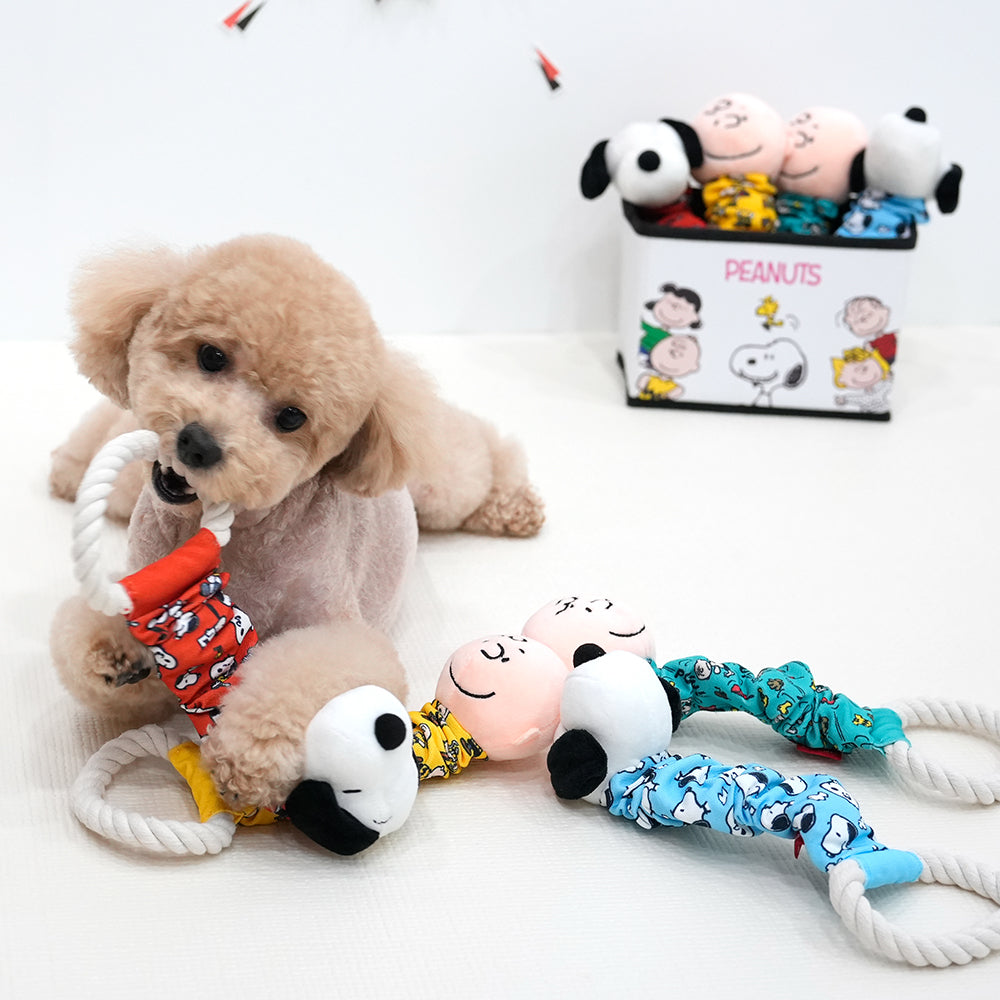 Peanuts Crunch Rope Toy