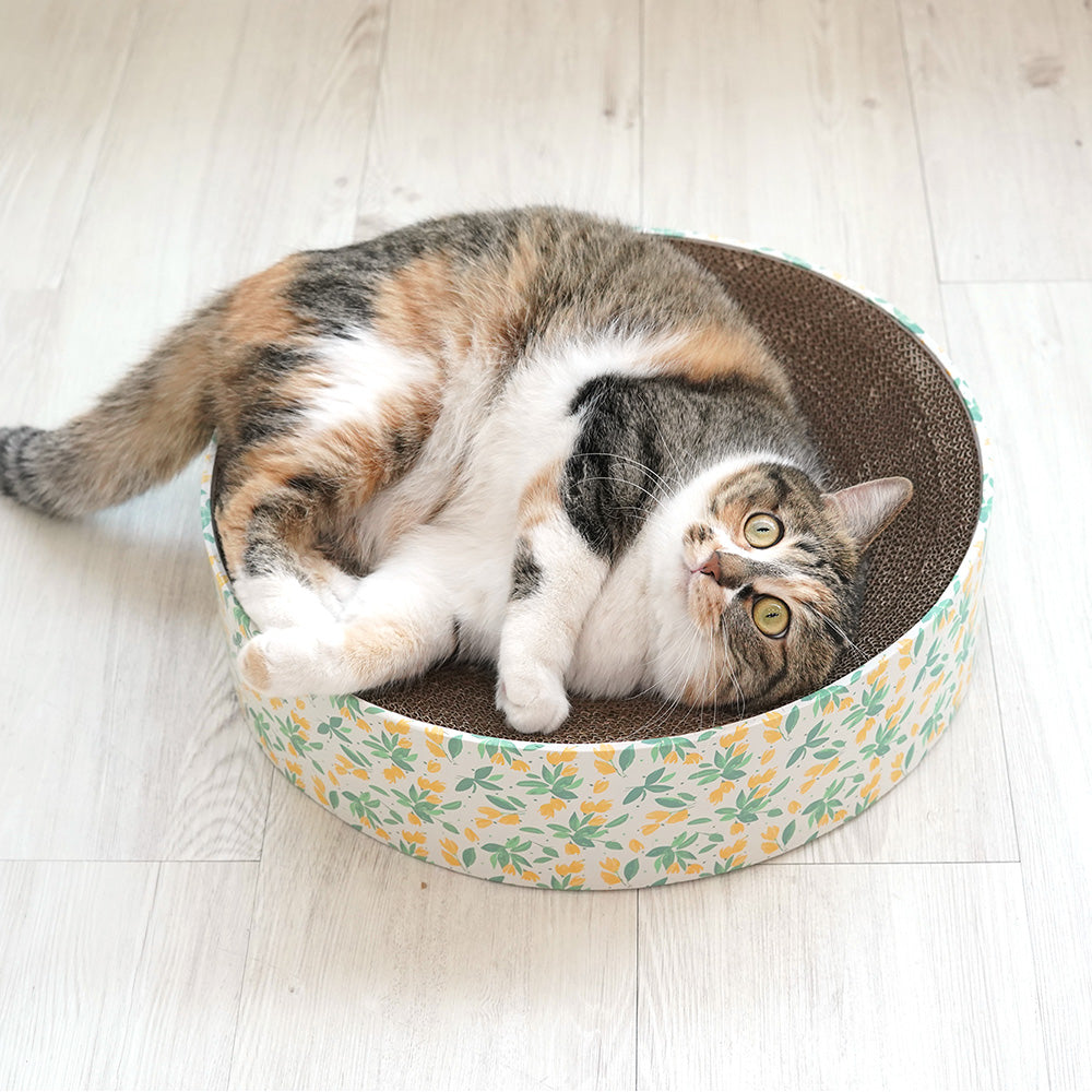 Pariscat Circle Scratcher