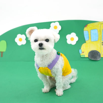 Color Shoulder T-Shirt