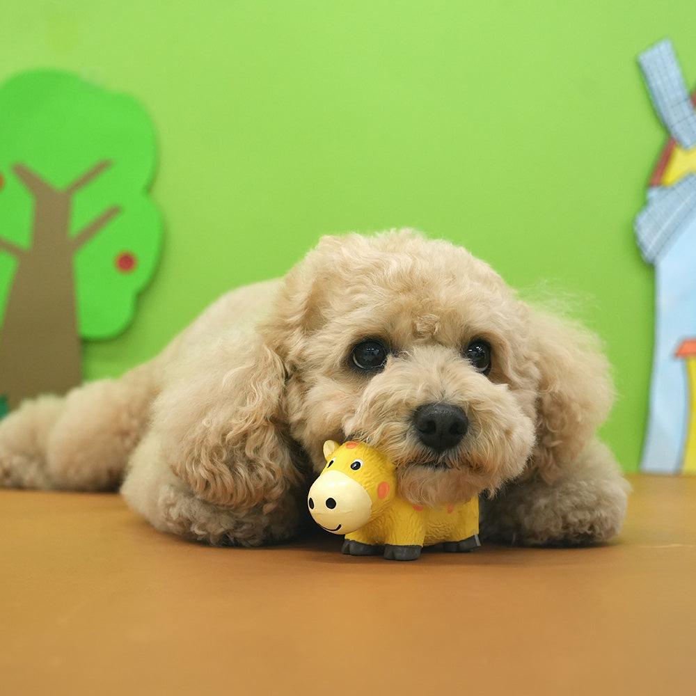 Animal Rope Latex Toy