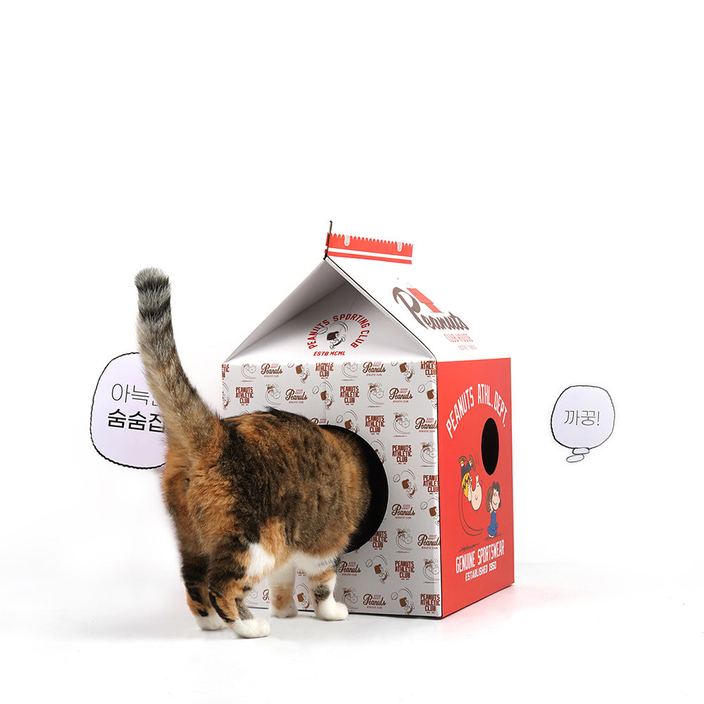 Peanuts Box Scratcher