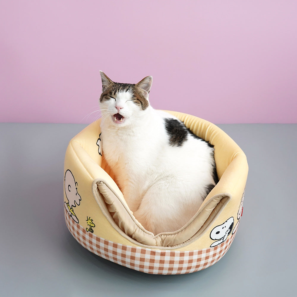 Peanuts Hide & Seek House