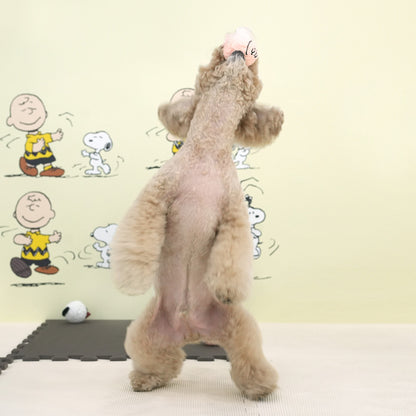 Peanuts Peel-Off Ball Toy