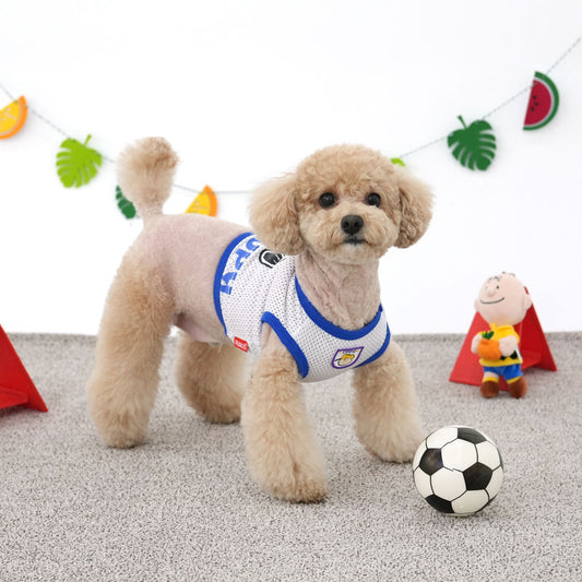 Peanuts Sporty Crop T