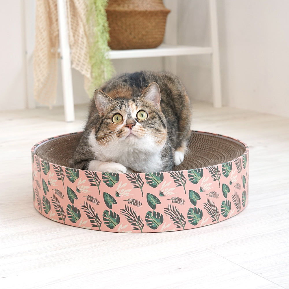 Pariscat Circle Scratcher