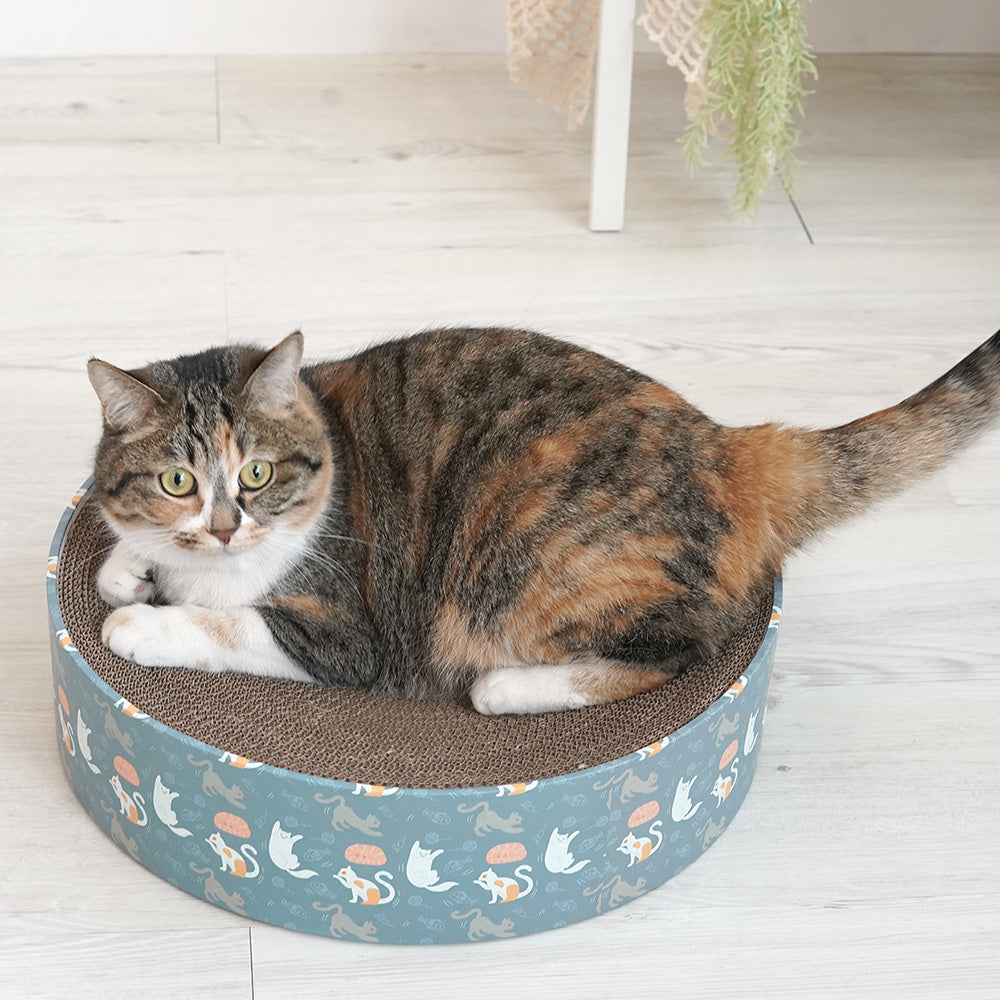 Pariscat Circle Scratcher