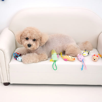 Interest Awaken Toy 2