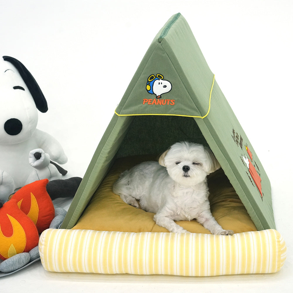Peanuts Adventure Tent House