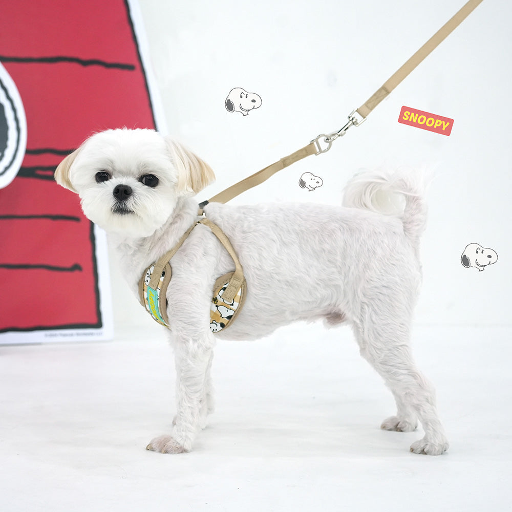 Peanuts Picnic X Harness