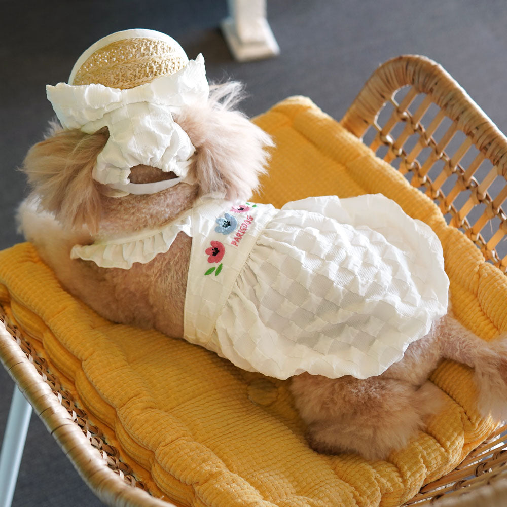 Popcorn Volume Pumpkin Dress Set (Including Hat)