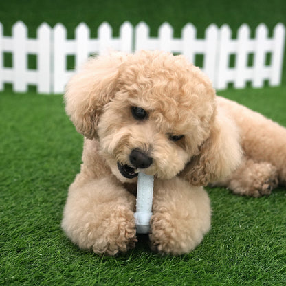 Dog Chewing Latex Toy