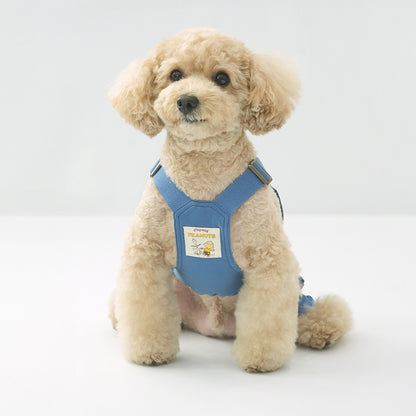 Peanuts Vintage Overall Pants Set