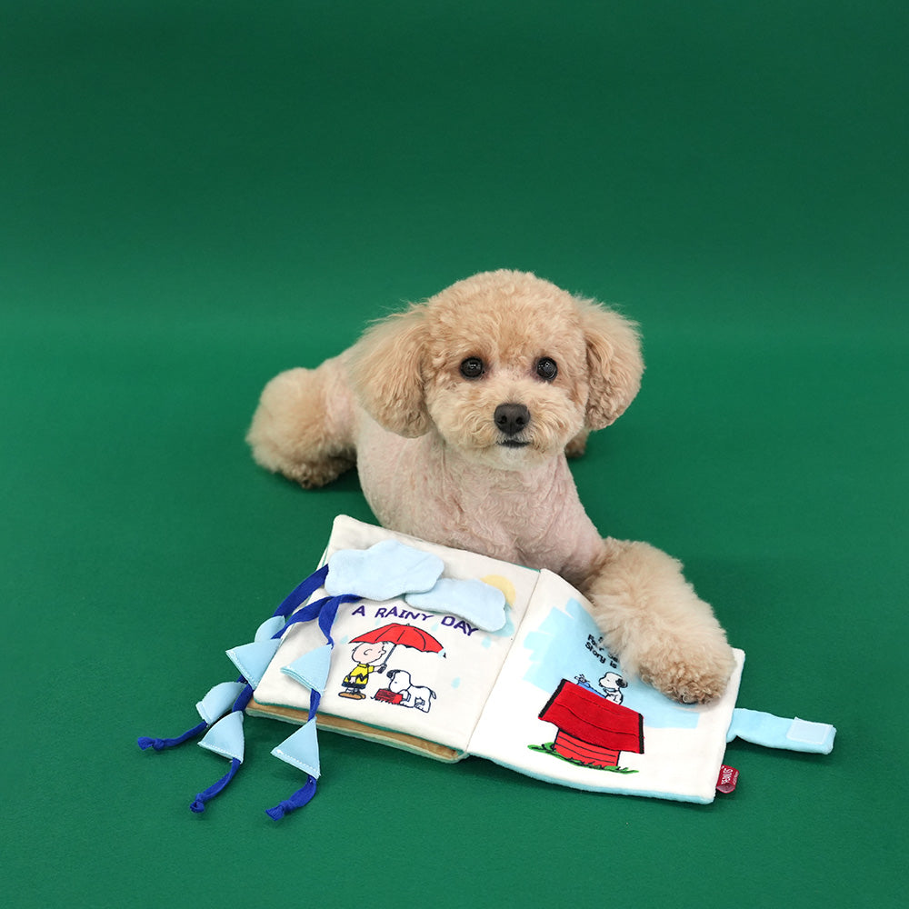 Peanuts Four Seasons Book Toy