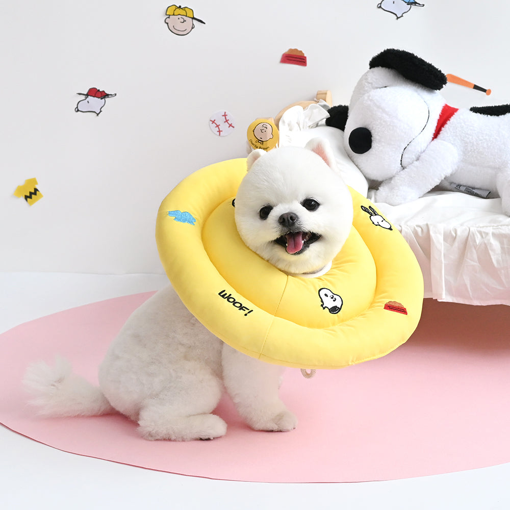 Peanuts Icon Neck Collar