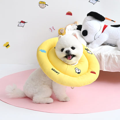 Peanuts Icon Neck Collar
