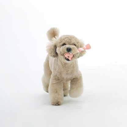 Mini Animal Screw Latex Toy