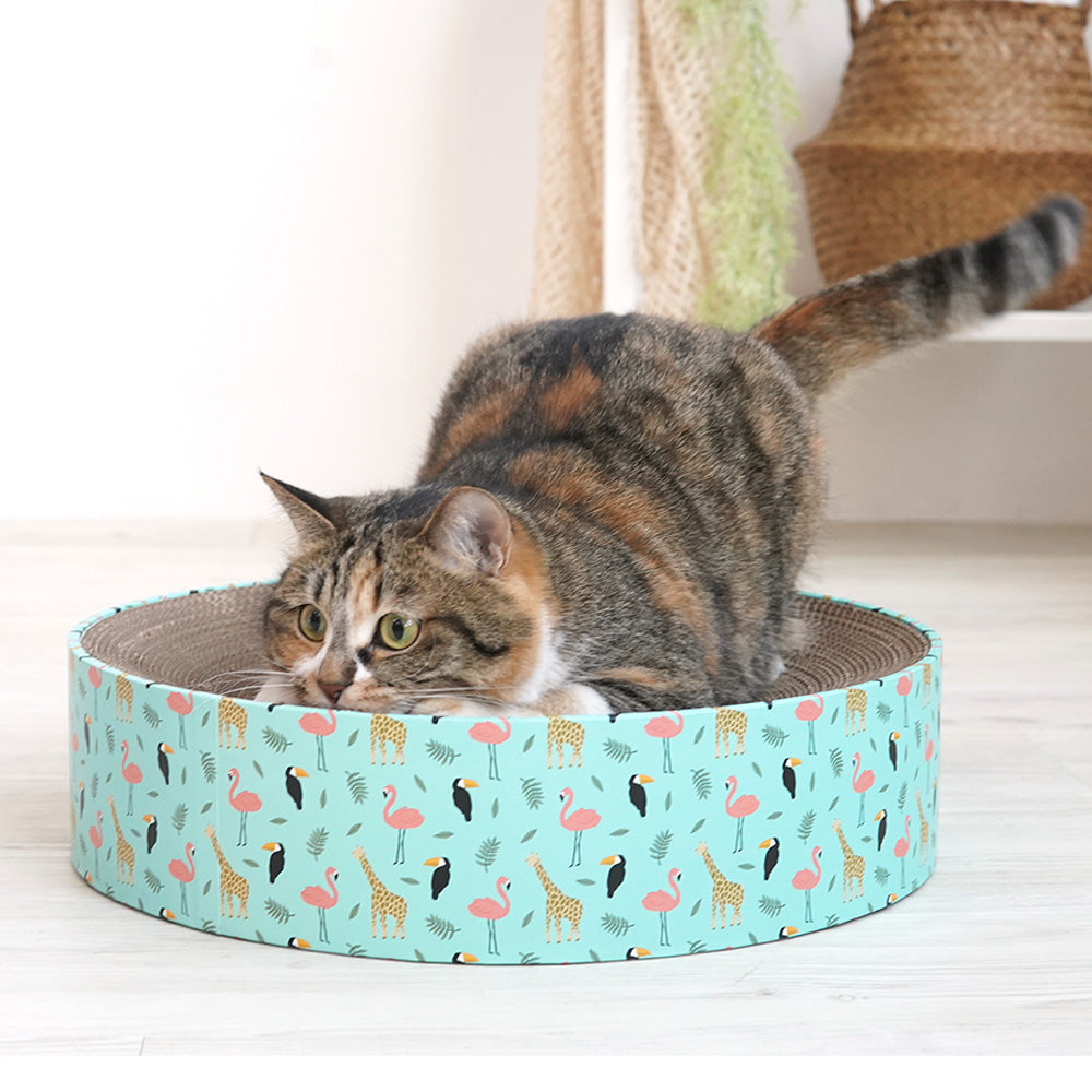 Pariscat Circle Scratcher