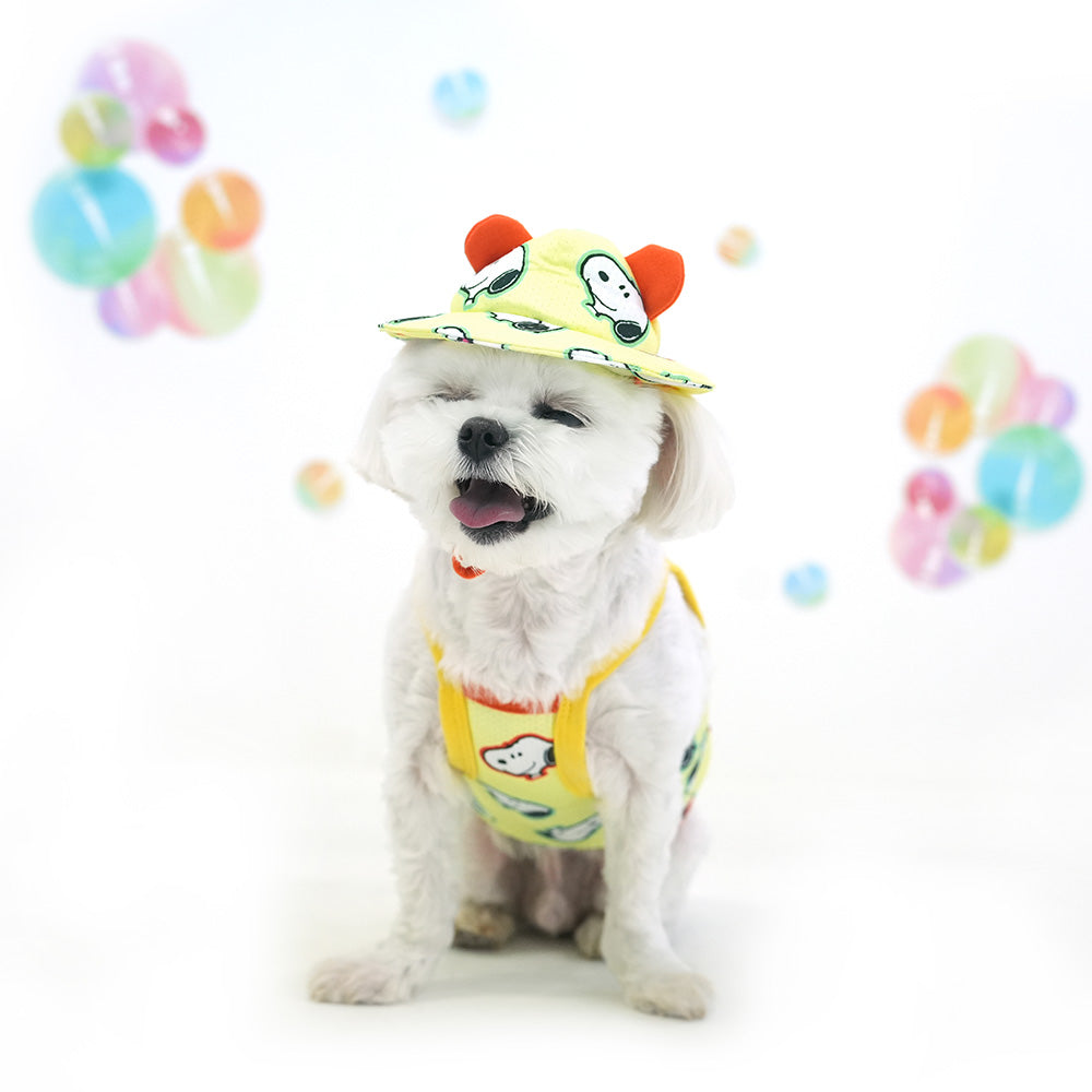 Peanuts Bubble Mesh Crop T-Shirt Set