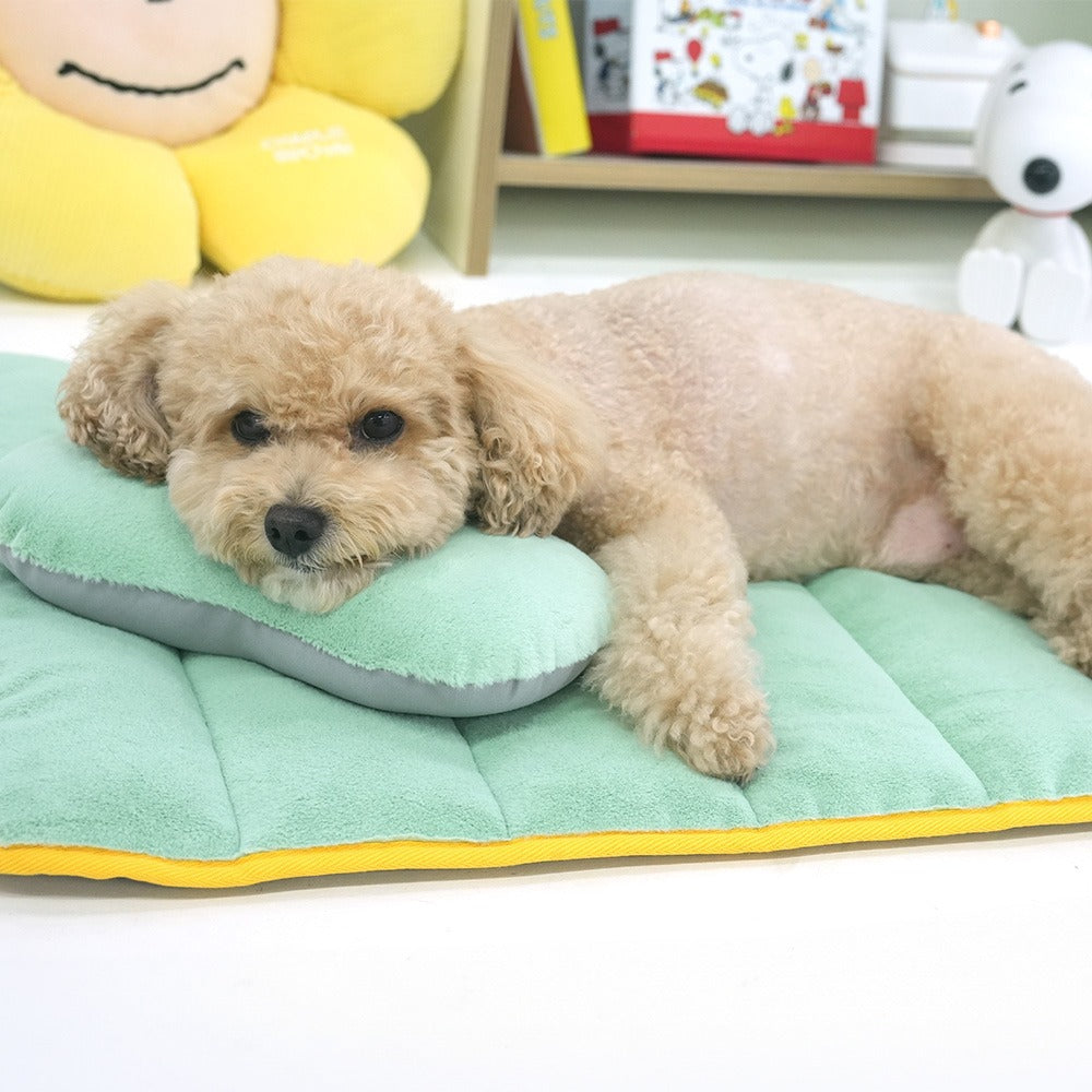Peanuts Slim Bed