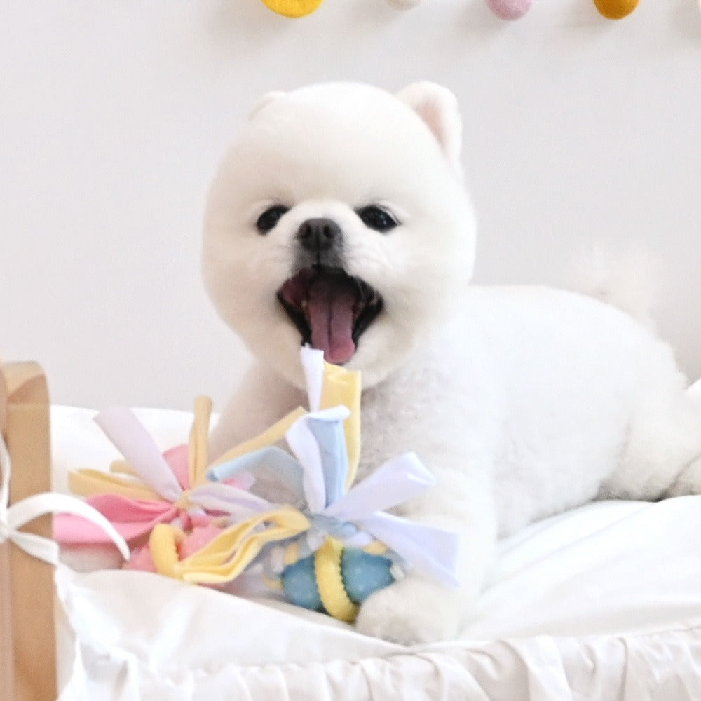 Pastel Ball Rope TPR Toy