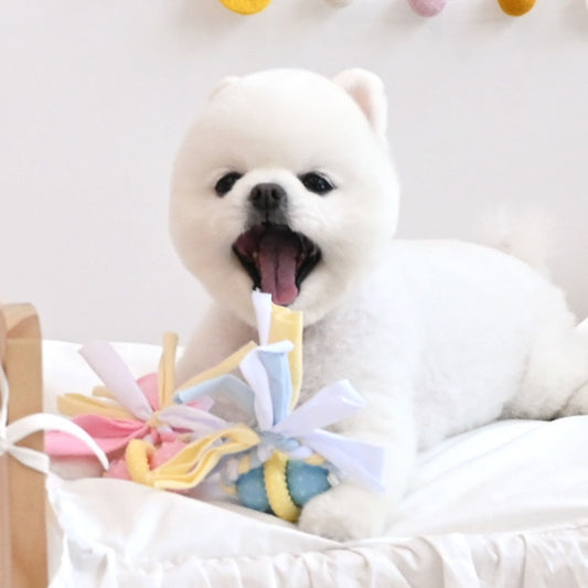 Pastel Ball Rope TPR Toy