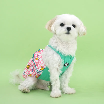 Peanuts Summer Check Pumpkin Dress